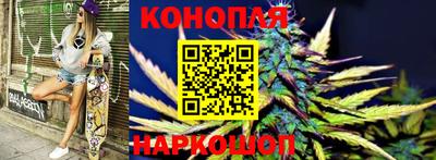 шишки Можайск