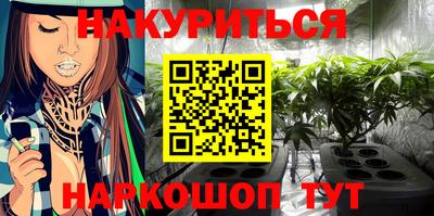 шишки Можайск