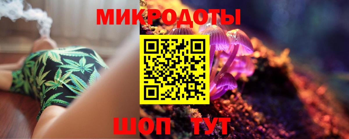 Галлюциногенные грибы MAGIC MUSHROOMS  Вход с VPN  Черняховск  Псилоцибиновые грибы GOLDEN TEACHER 